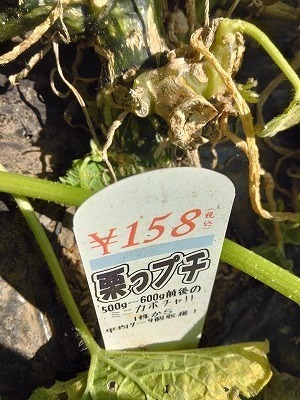 IMG_20240806_092432.jpg